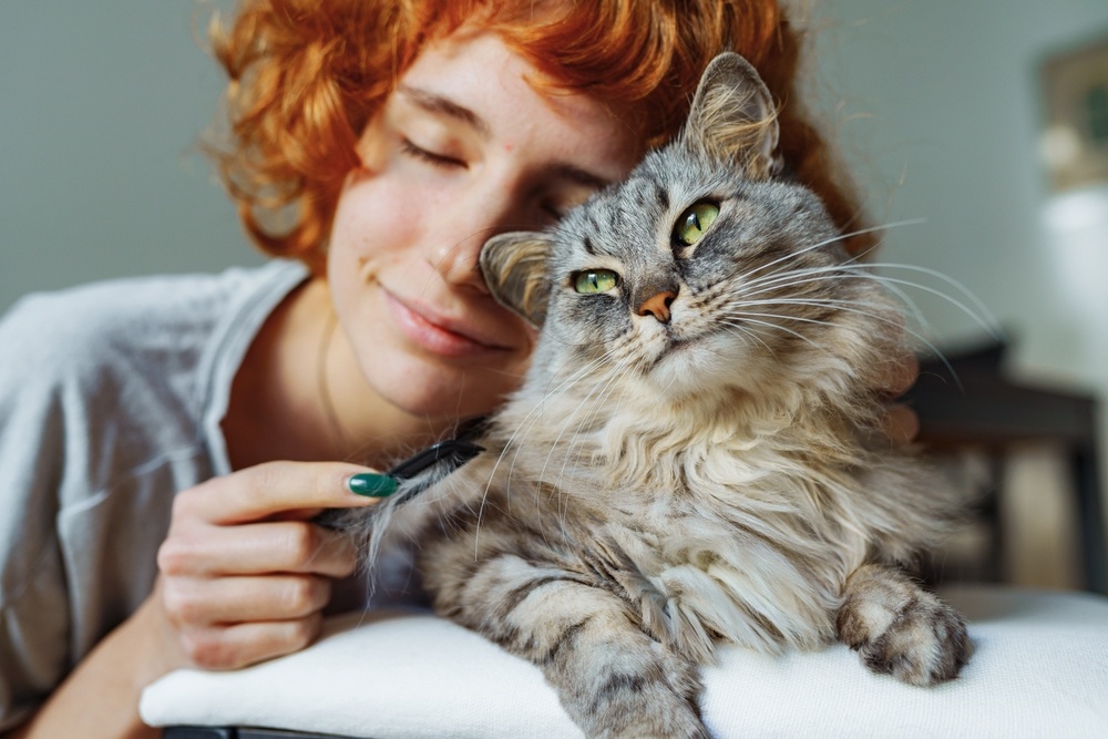 Assurer votre animal de compagnie auprès de l’ECA Vaud: pourquoi c’est important?
